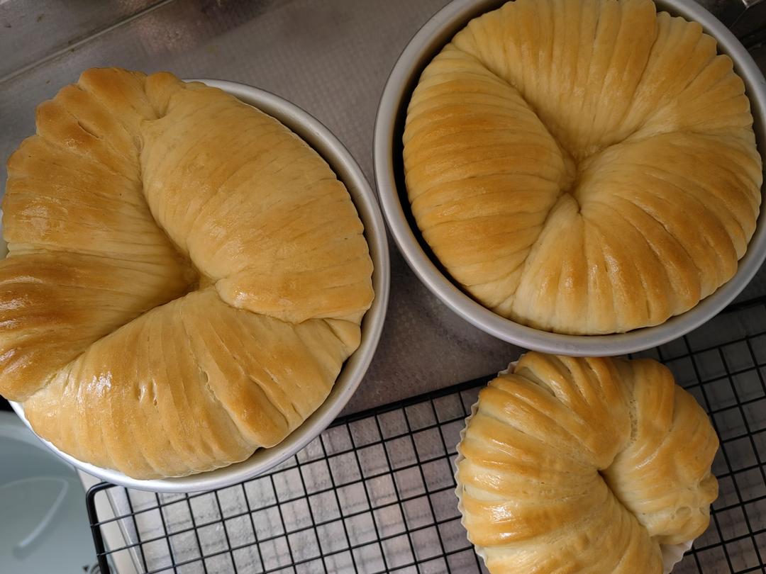 🔥一次成功🔥最近爆火的毛线球面包