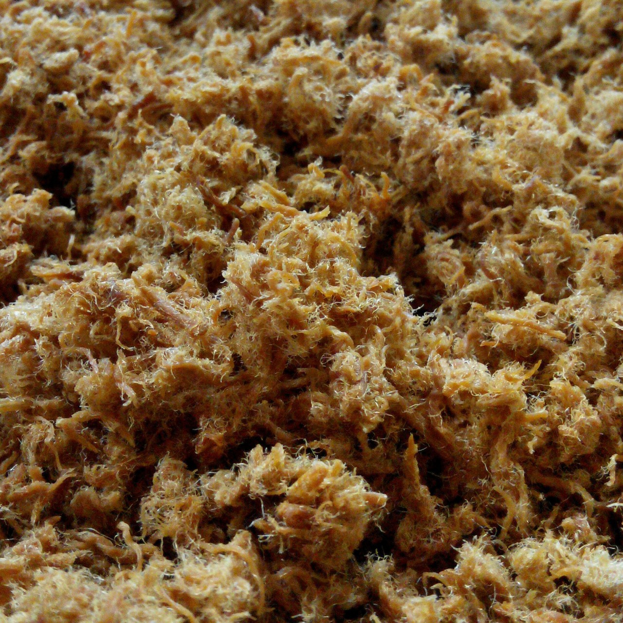 面包机自制肉松