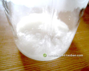 Kombucha 红茶菌/康普茶酿柿子醋的做法 步骤4