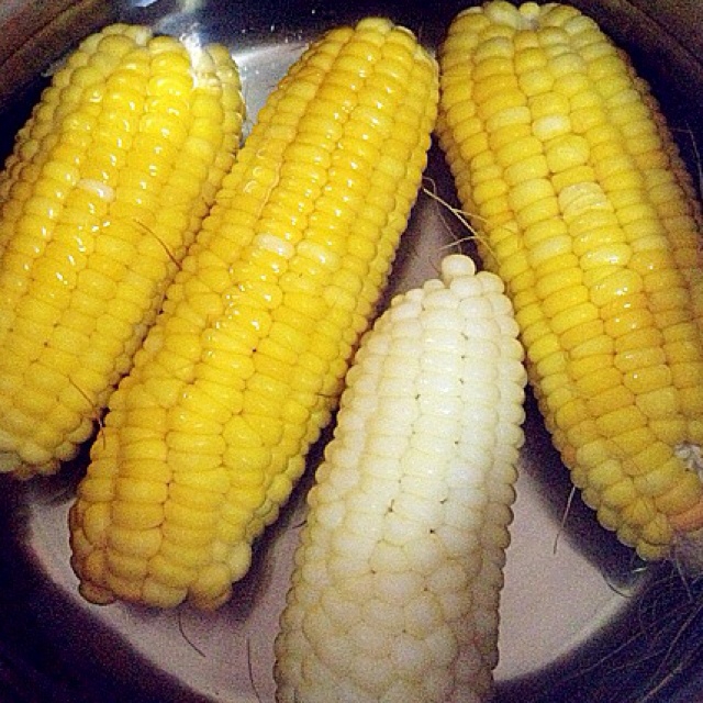 煮玉米