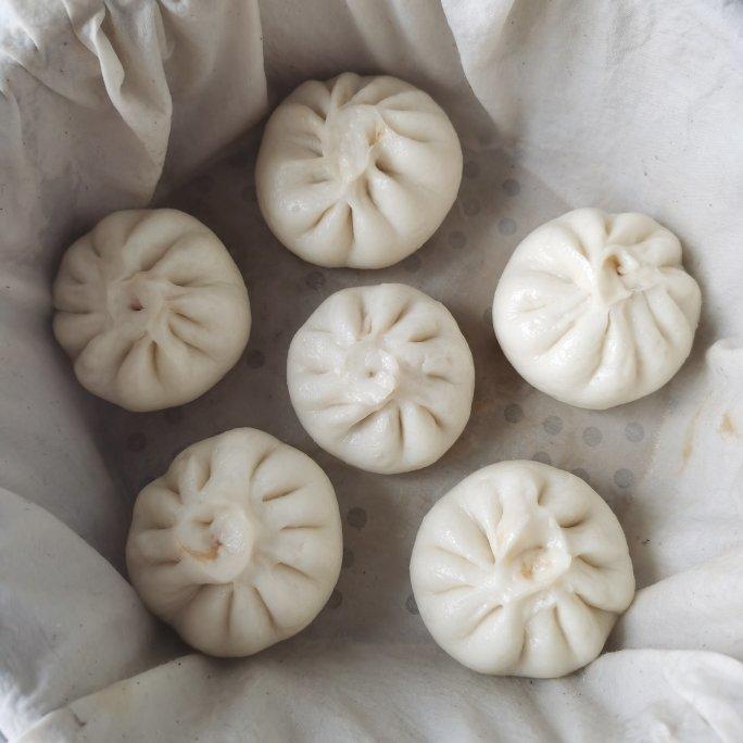 肉包子（皮松软，馅嫩滑，新手零失败）