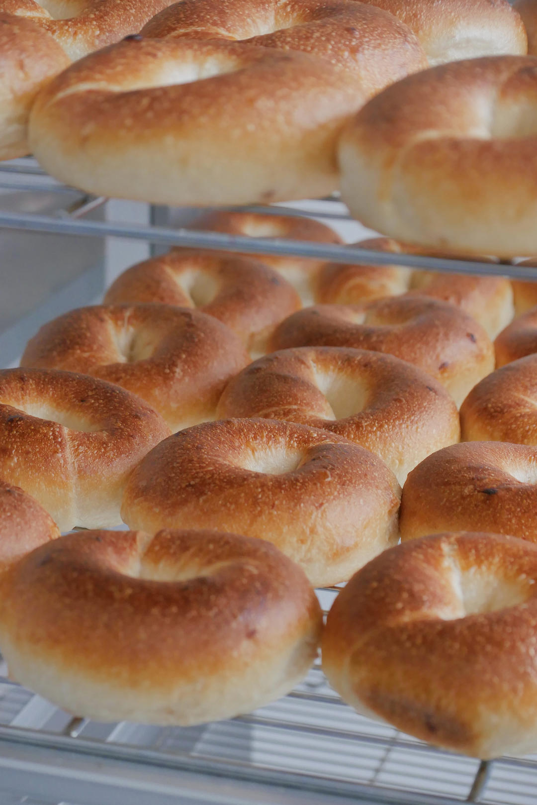 香炸天的洋葱酵液贝果（附视频）