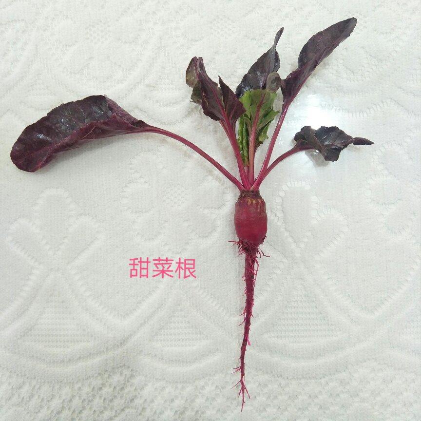 爽口甜菜根