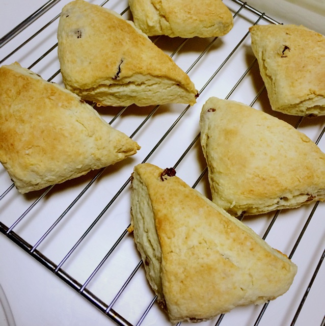 葡萄干司康（酵母版）