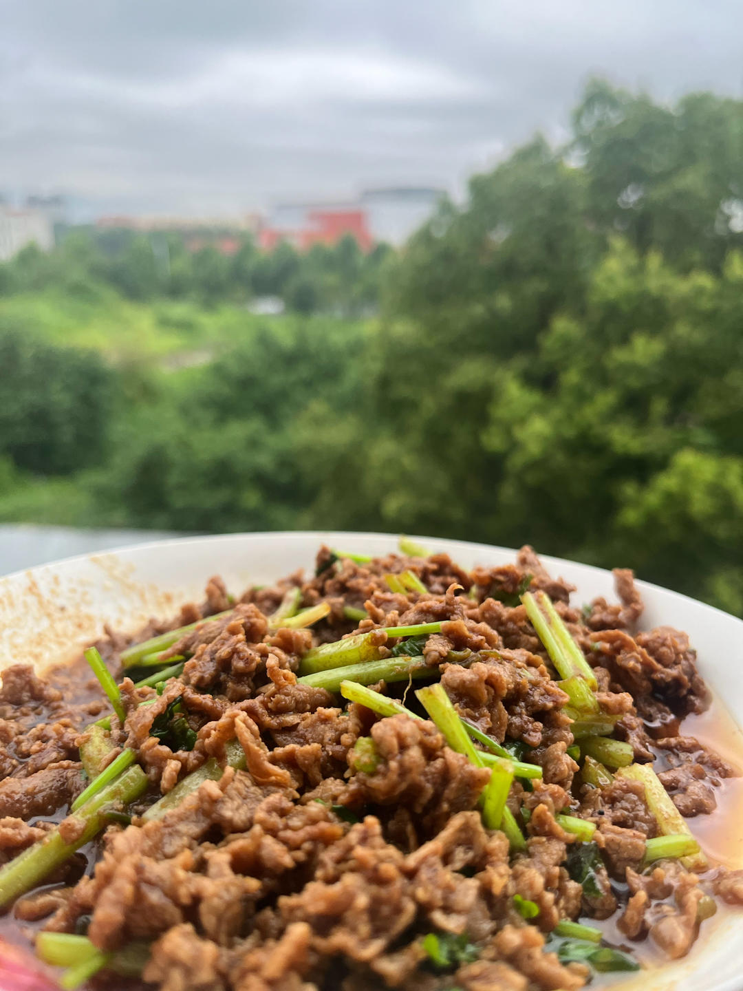 沙茶牛肉