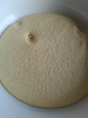 玉米粉小麦粉混合馒头的做法 步骤3