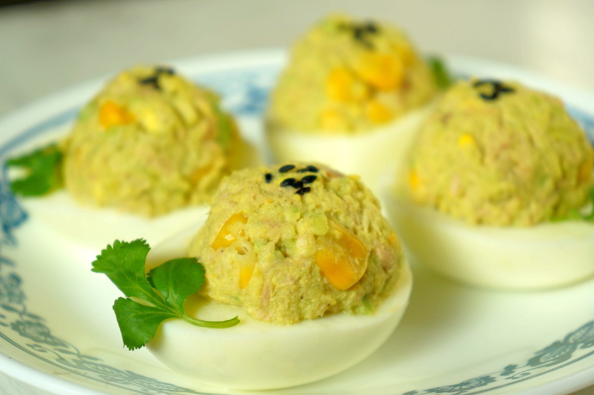 牛油果吞拿鱼鸡蛋盅