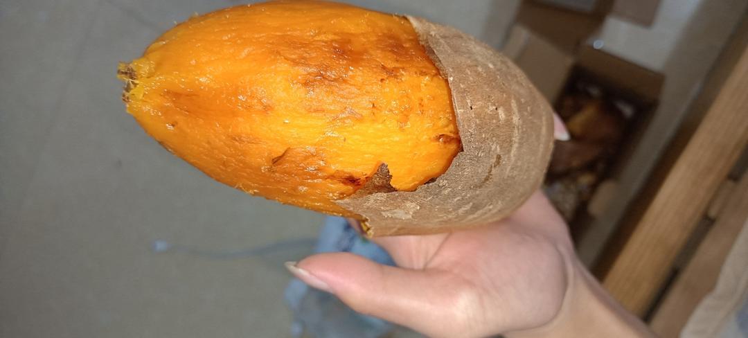 【糯唧唧的烤红薯】糖油四溢皮肉分离外糯里嫩吸溜着吃！