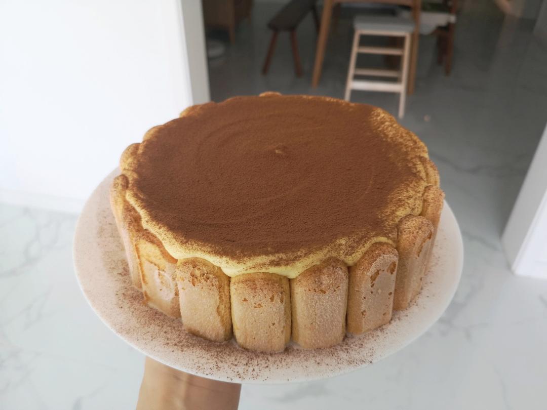 在欧洲学会的经典版提拉米苏