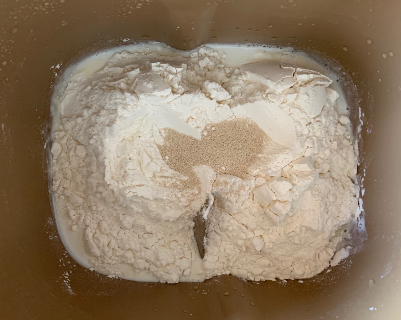 胖fufu的牛奶红豆面包的做法 步骤1