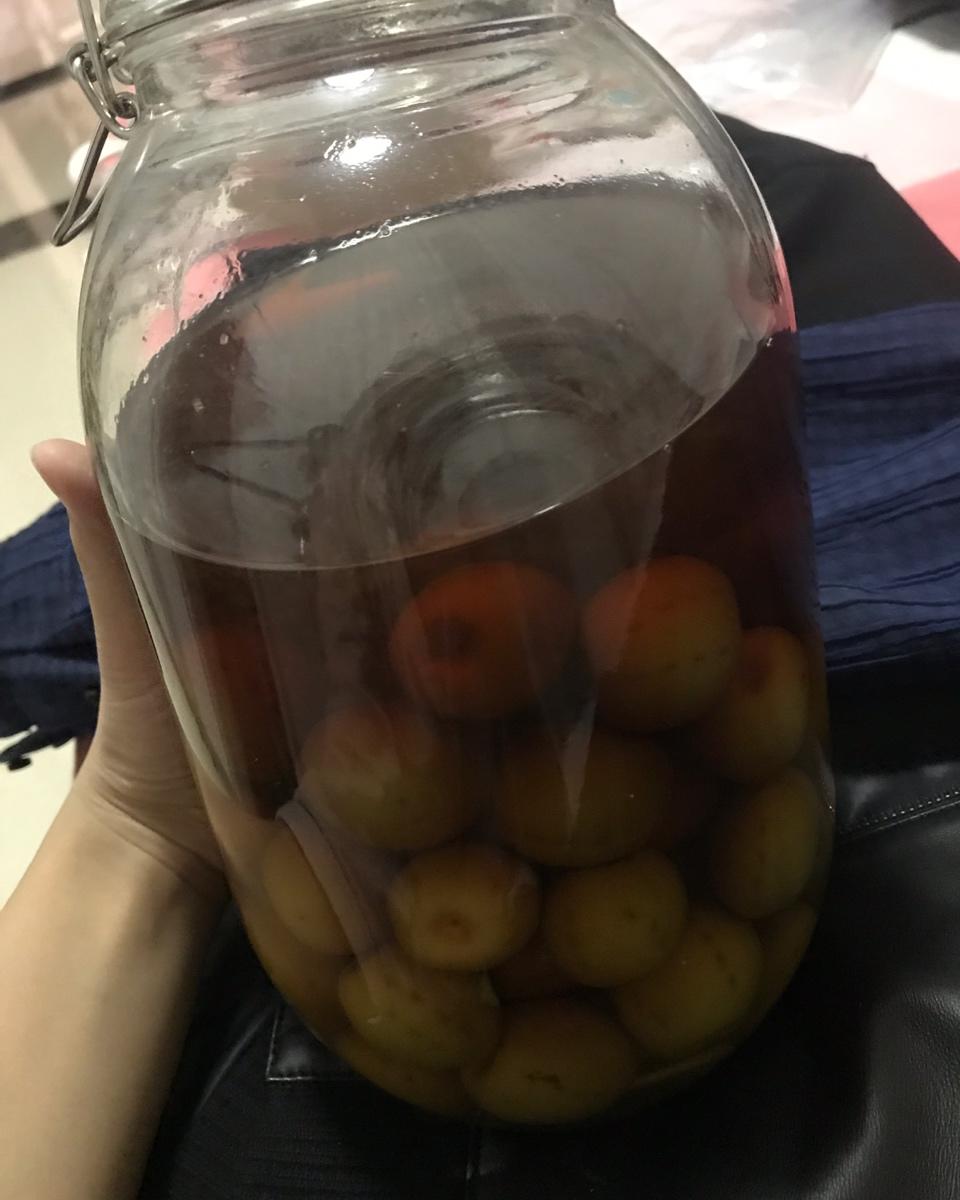 【青梅酒】梅子的沉醉时光（已填坑）