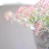 爱吃的小兔子Wmj