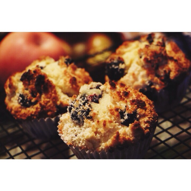 PH大师的金宝顶蓝莓马芬