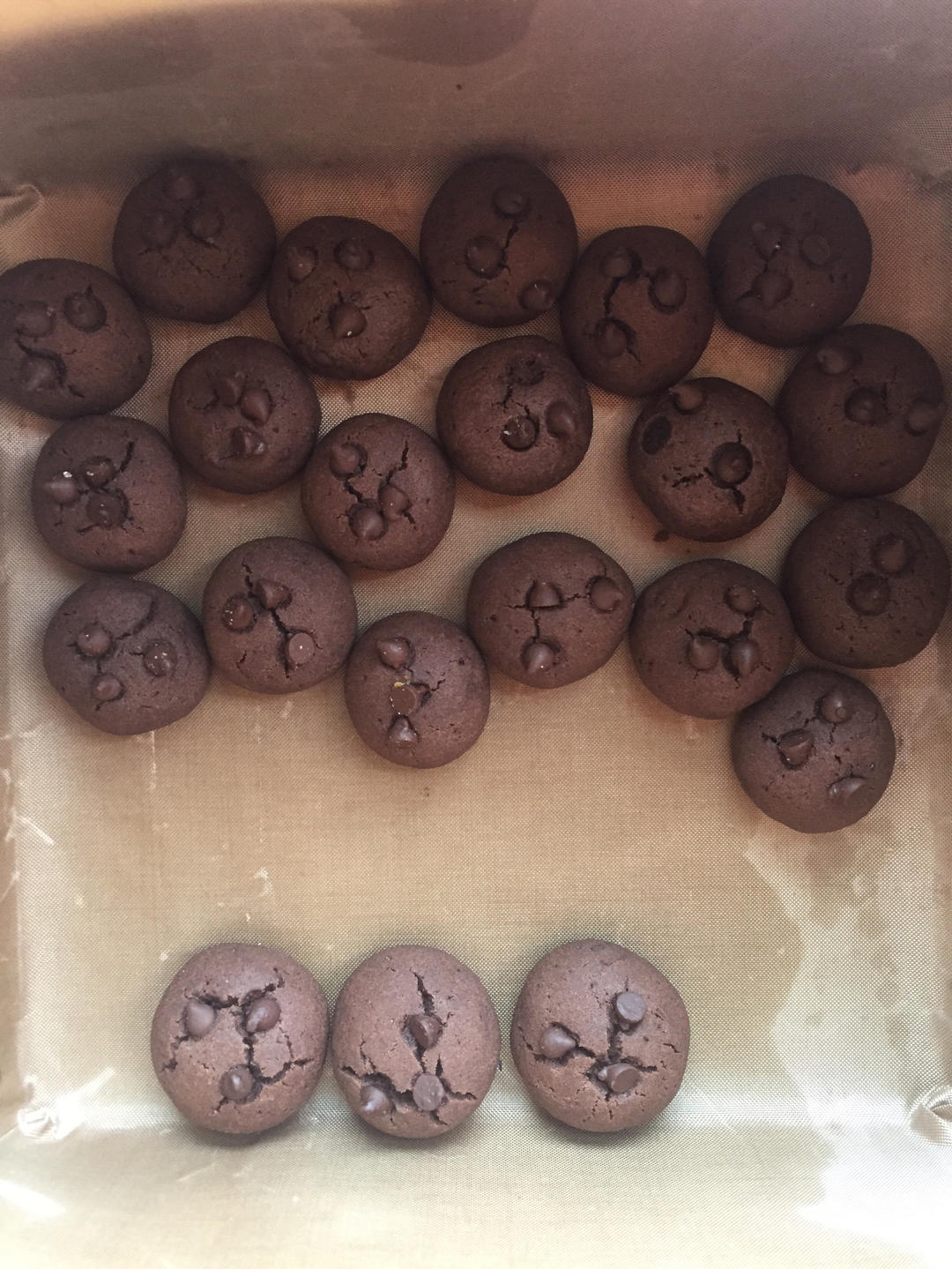 秒杀趣多多❗️巧克力坚果软曲奇饼干