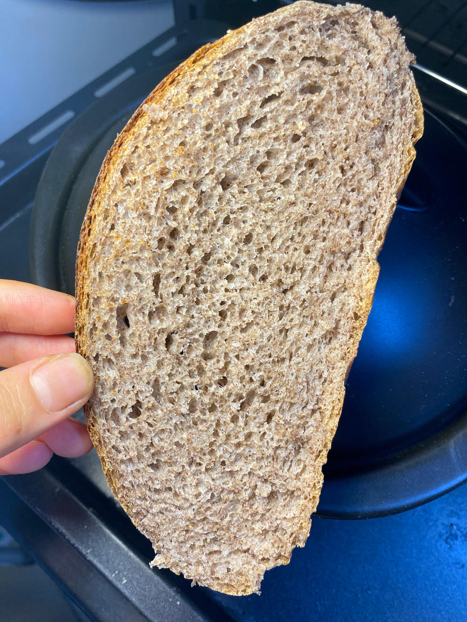 无糖无油黑麦硬欧包-直接法 不需要液种