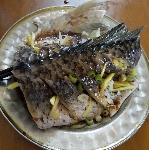 超入味清蒸鱼～清蒸鲈鱼桂花鱼（家常独创）