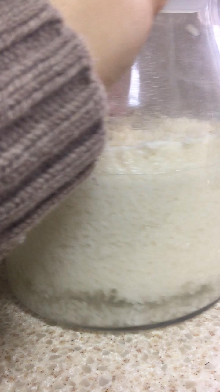 酒酿、米酒做法精细版