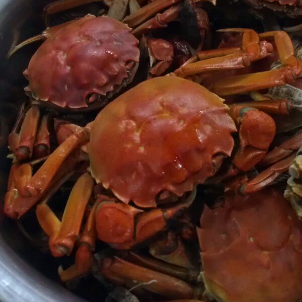清蒸河蟹