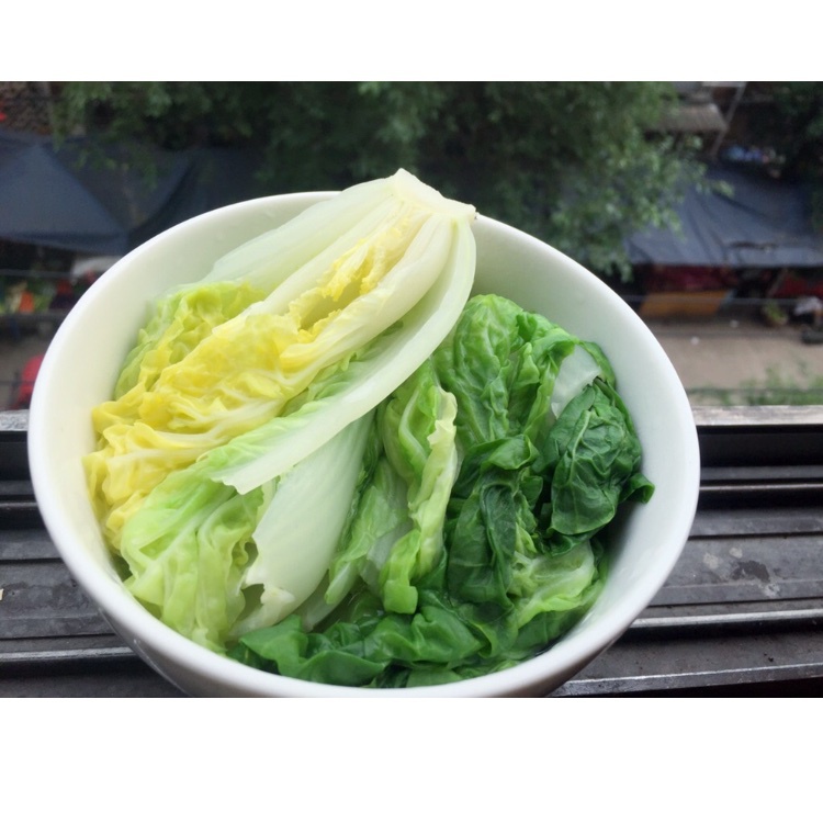 白水菜(减肥必备)的全部作品