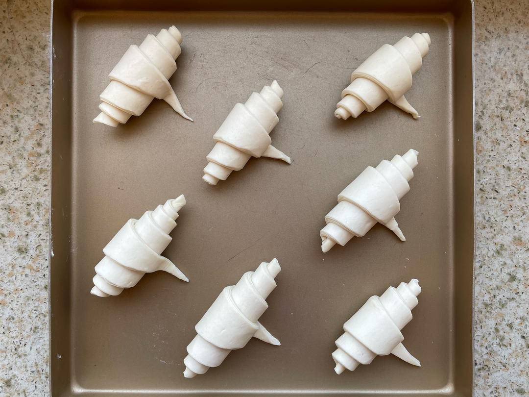 基础可颂练习（24.12备忘）