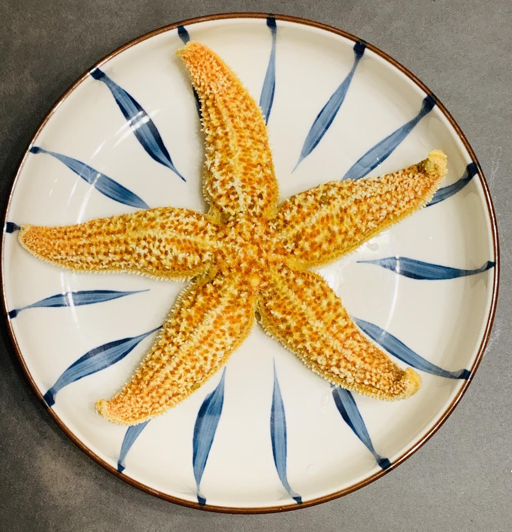 清蒸红海星