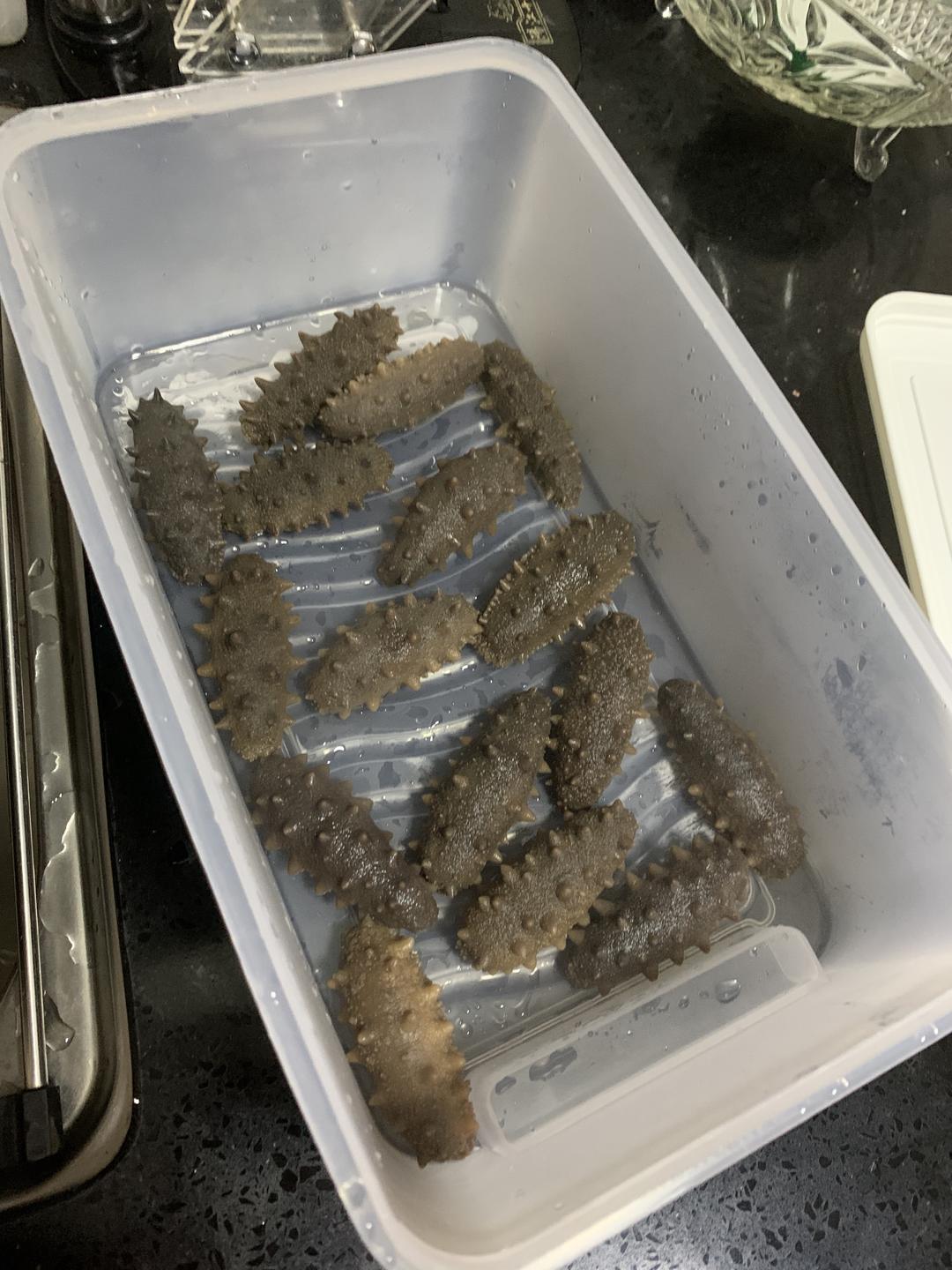 泡好的海参能冷冻吗_泡好的海参能不能冷冻_干海参冷冻后如何泡发
