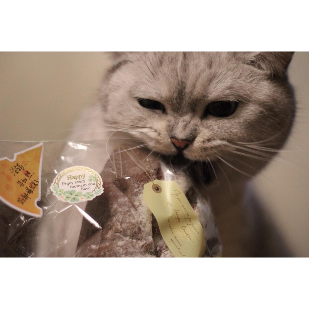 麻薯夹心可可（抹茶）软欧