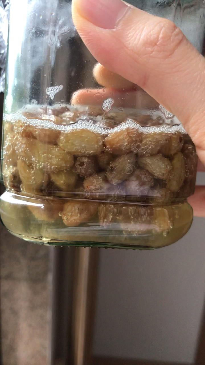 我的天然酵母养成记（葡萄菌种）