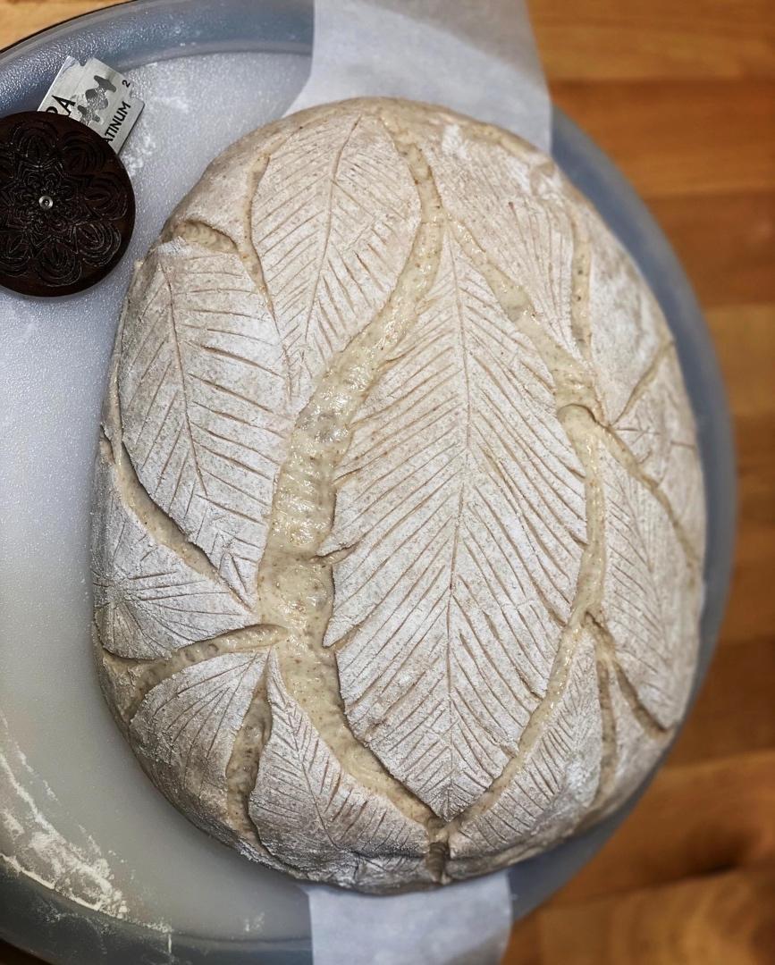 我的欧包割花记录-割包周记