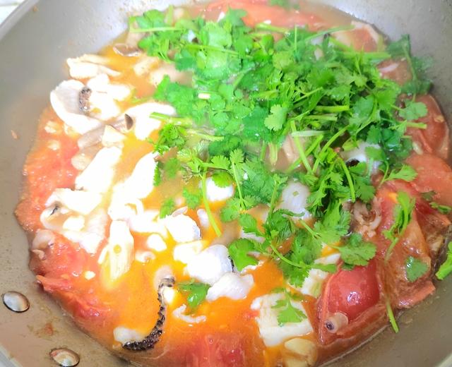 番茄黑鱼片汤的做法