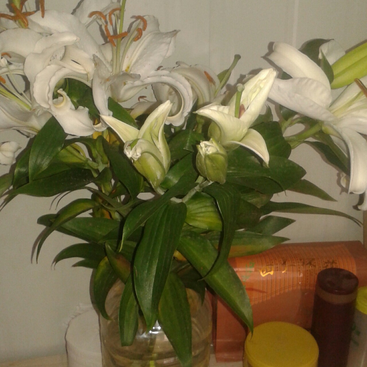 手机用户1158_un6d