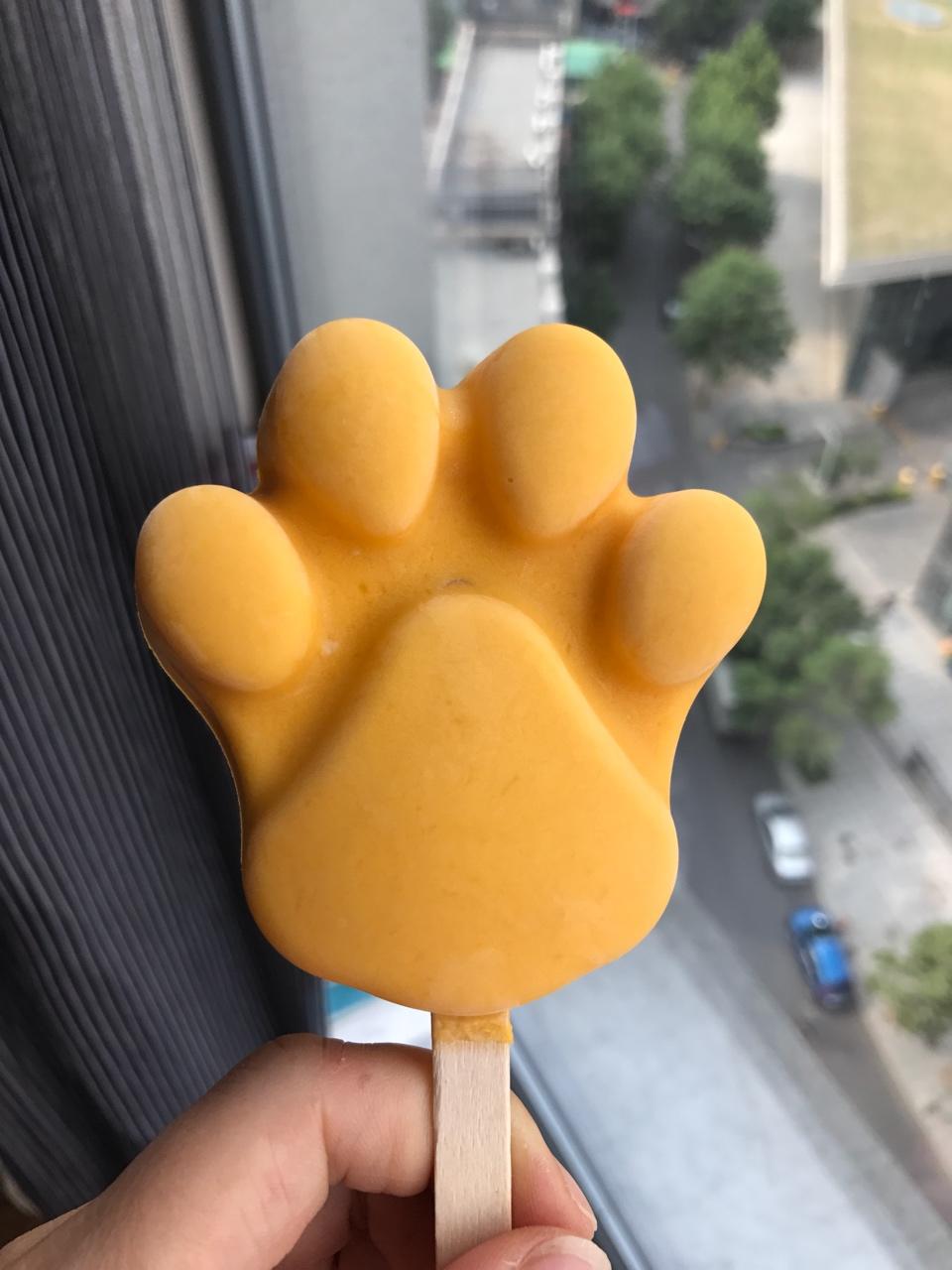 自制缤纷多彩水果冰棍—夏季冰爽