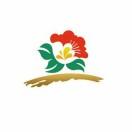 手机用户8009_dasx