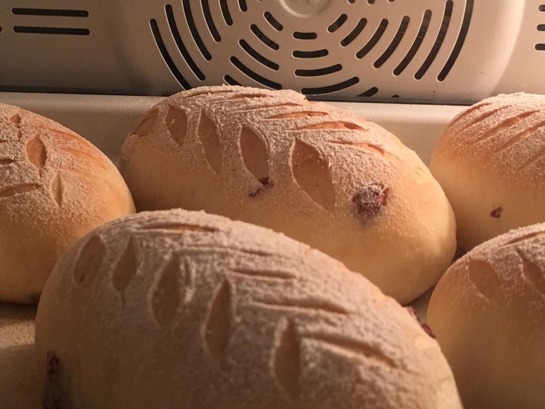 面包店里的常客——蔓越莓奶酪软欧