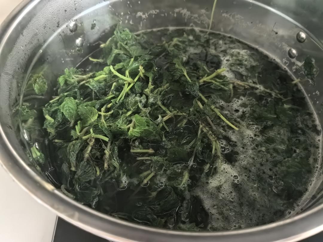 凉粉草（绿凉粉）