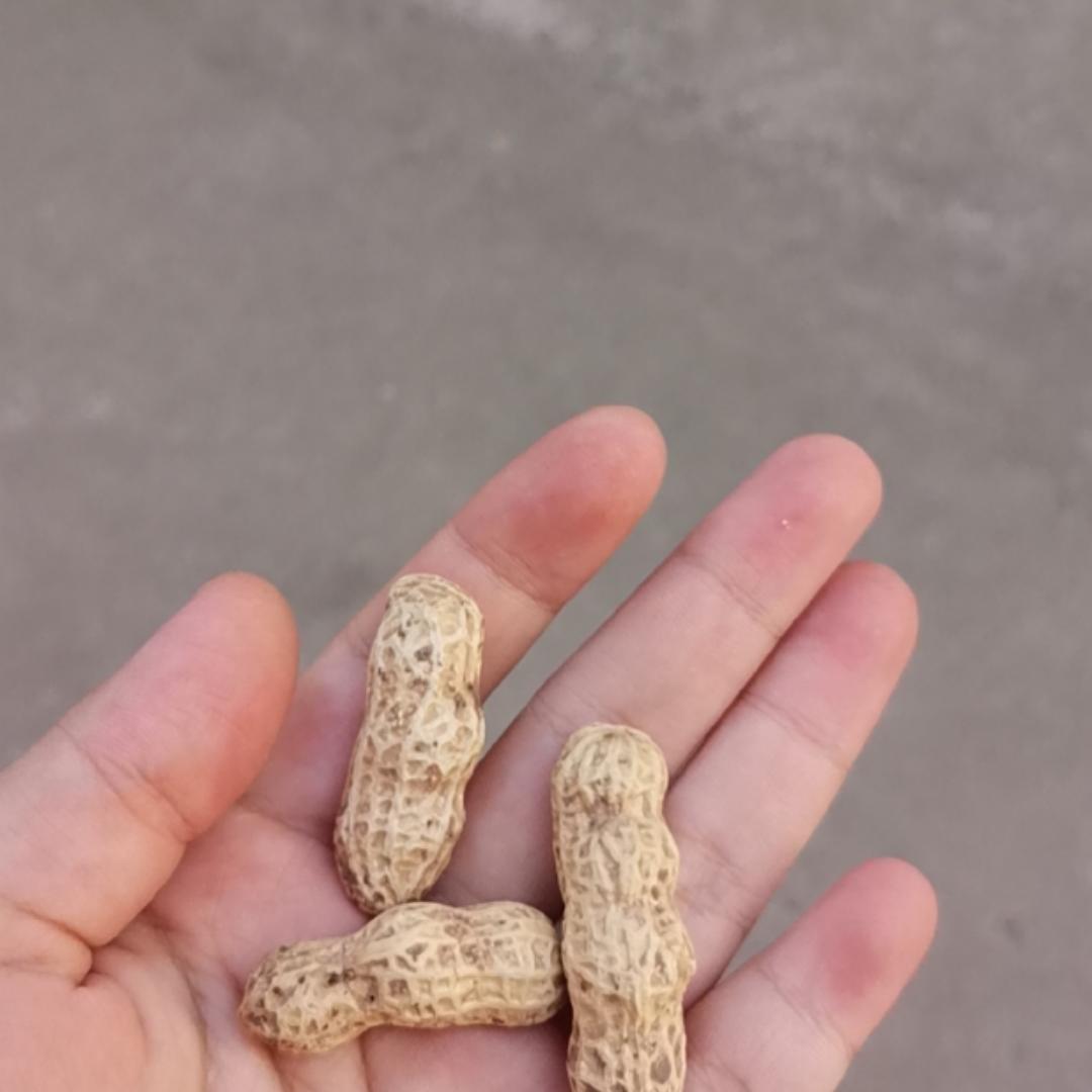 笑笑姐姐08