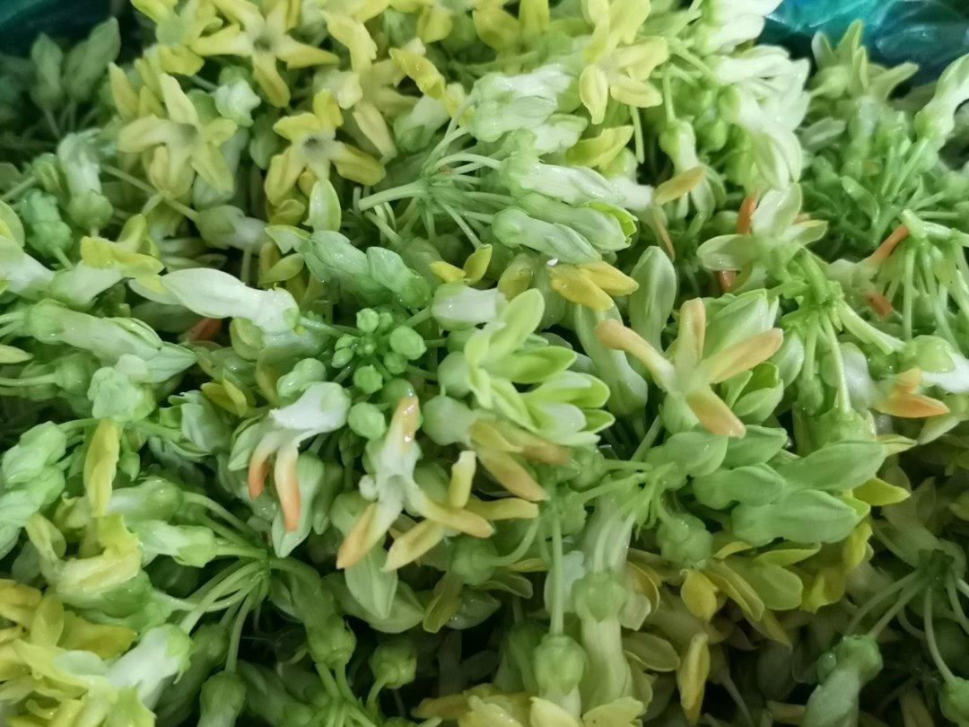 抹茶红豆牛奶卷（超好揉出手套膜的方子）