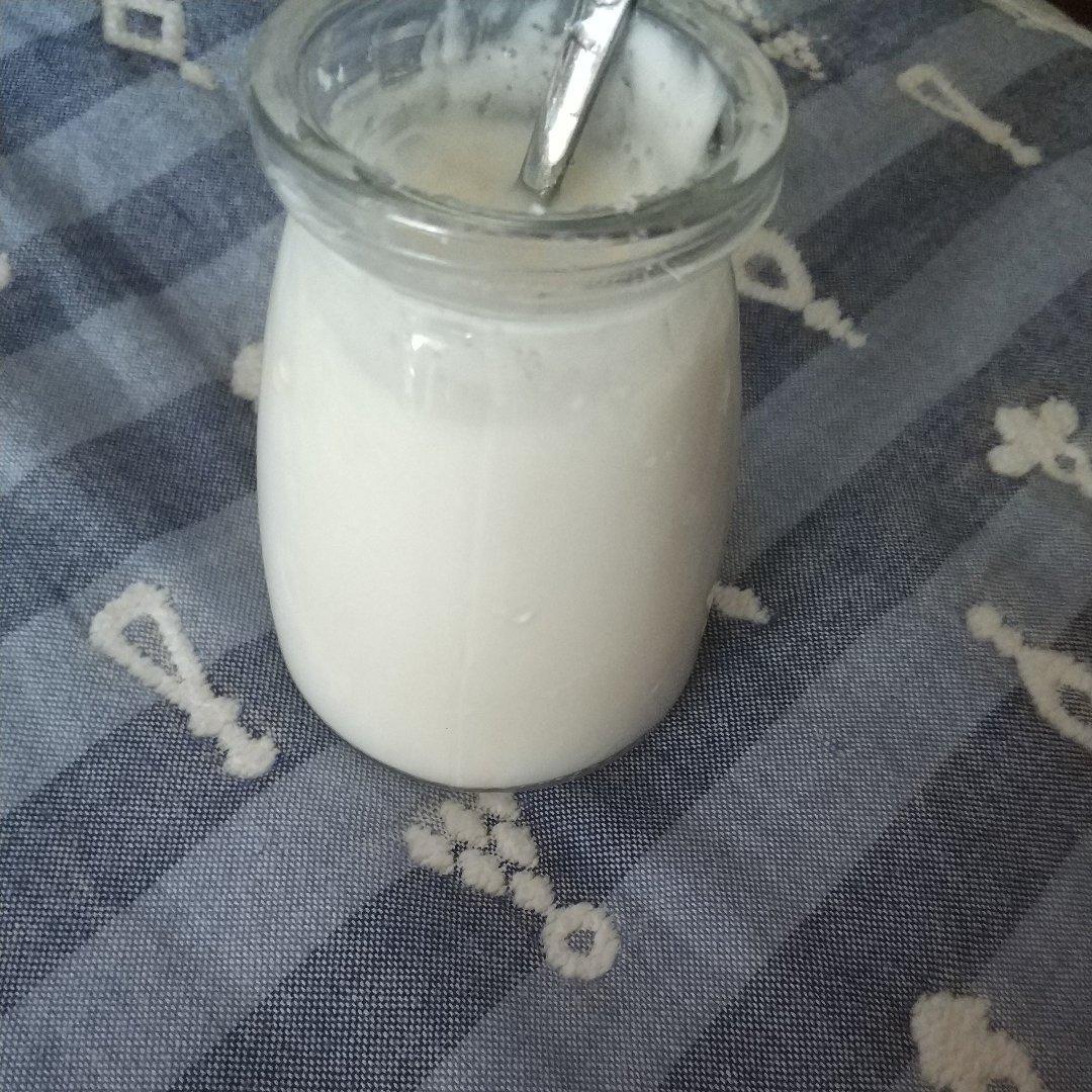 自制酸奶(原味酸奶)