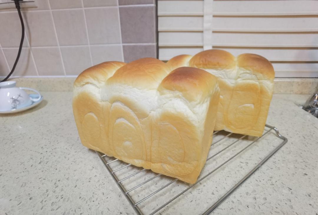 团长的汤种吐司（小餐包通用的万能配方）