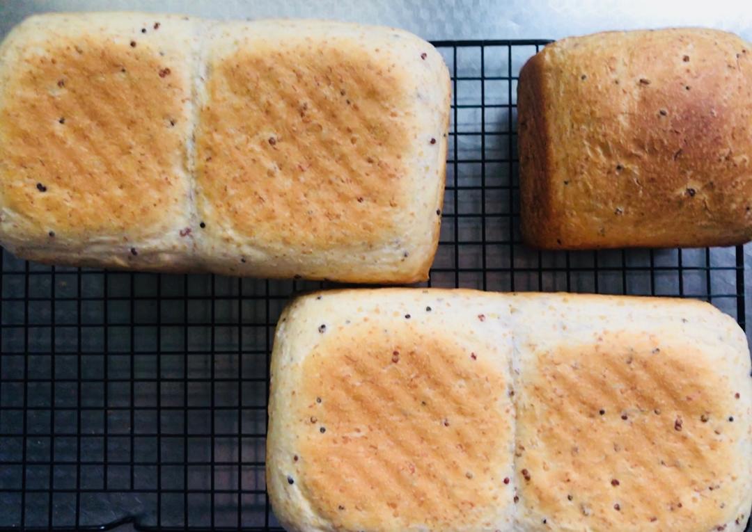 「麦麦吐司」——50%全麦➕藜麦