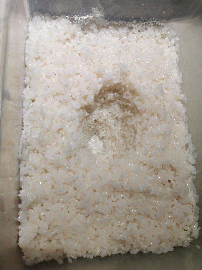 酒酿 (酒酿系列一）