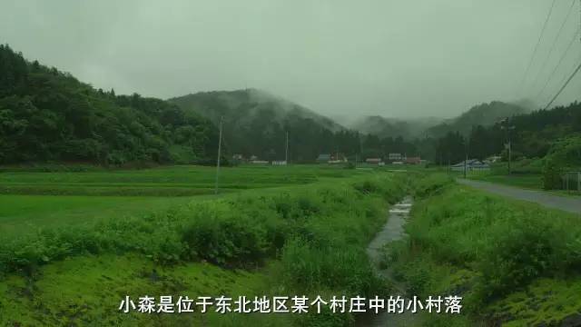 《小森林》：我对父母的理解，始于下厨房