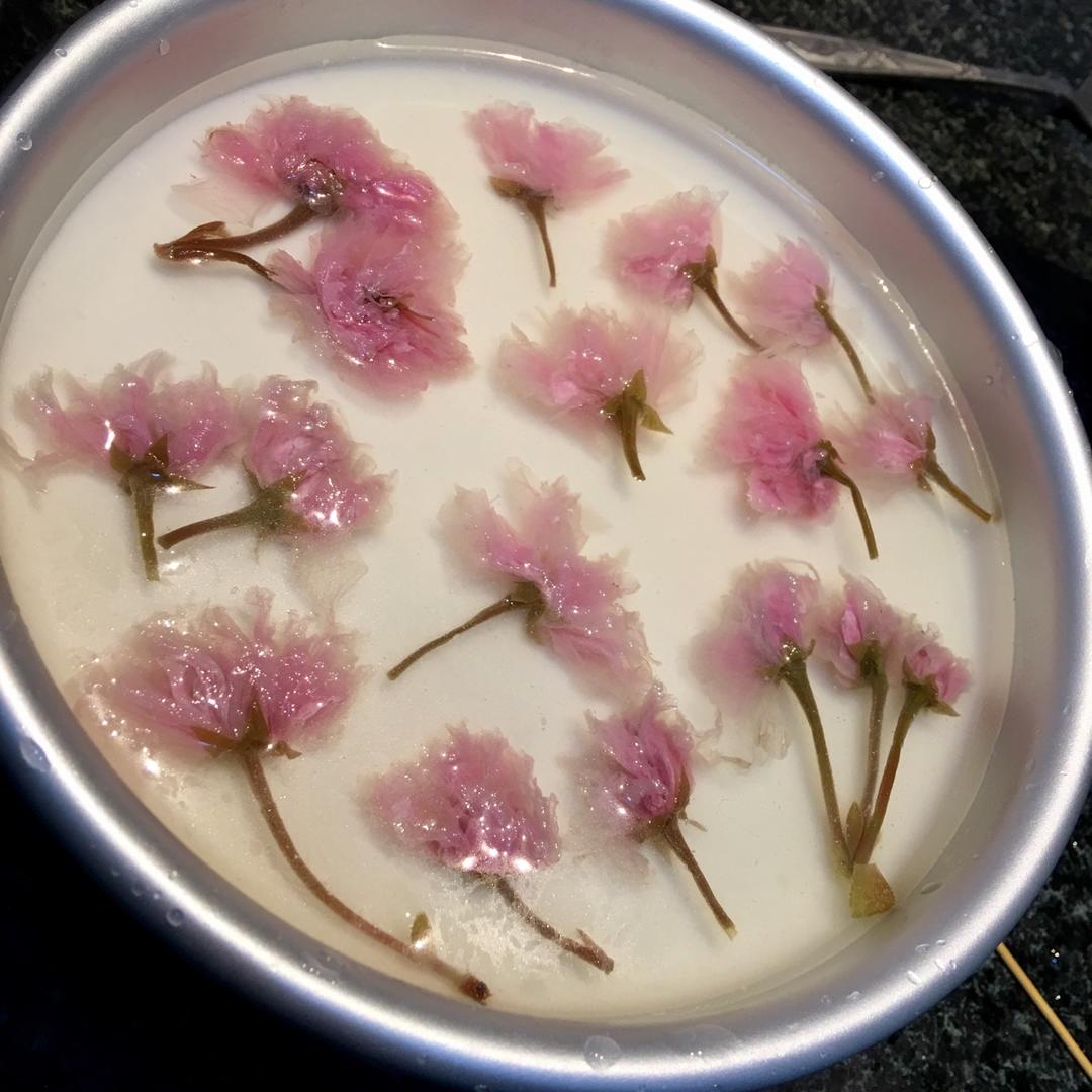 要的就是小清新：樱花冻芝士蛋糕