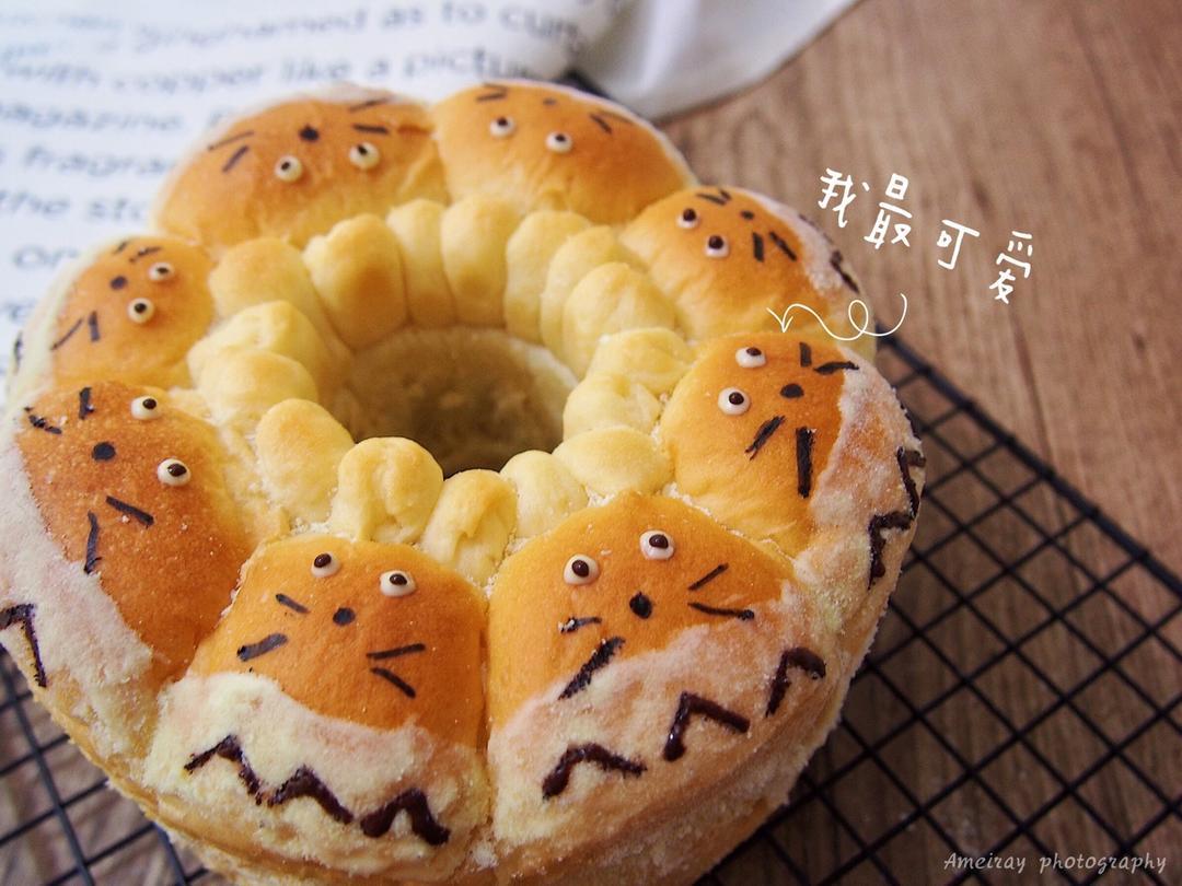 龙猫挤挤小面包