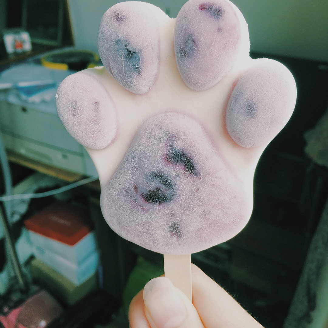 夏瓷绵做的【爪爪冰棍】