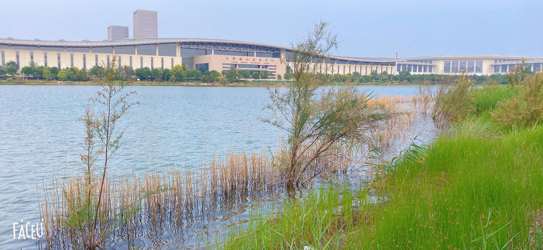 下厨房用户_sv29