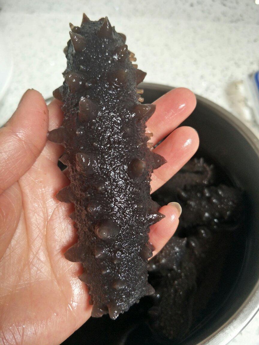 泡发干海参