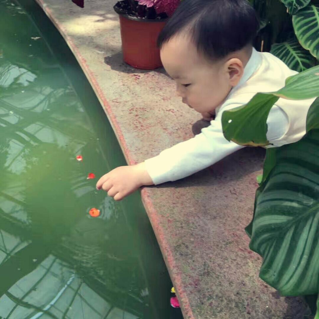 御之风