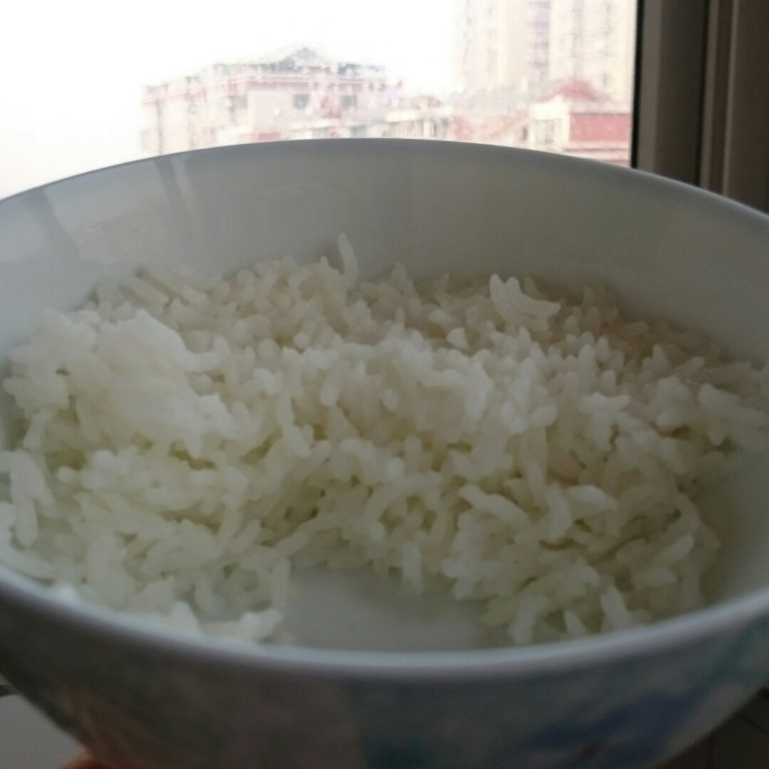 一个人的蒸米饭