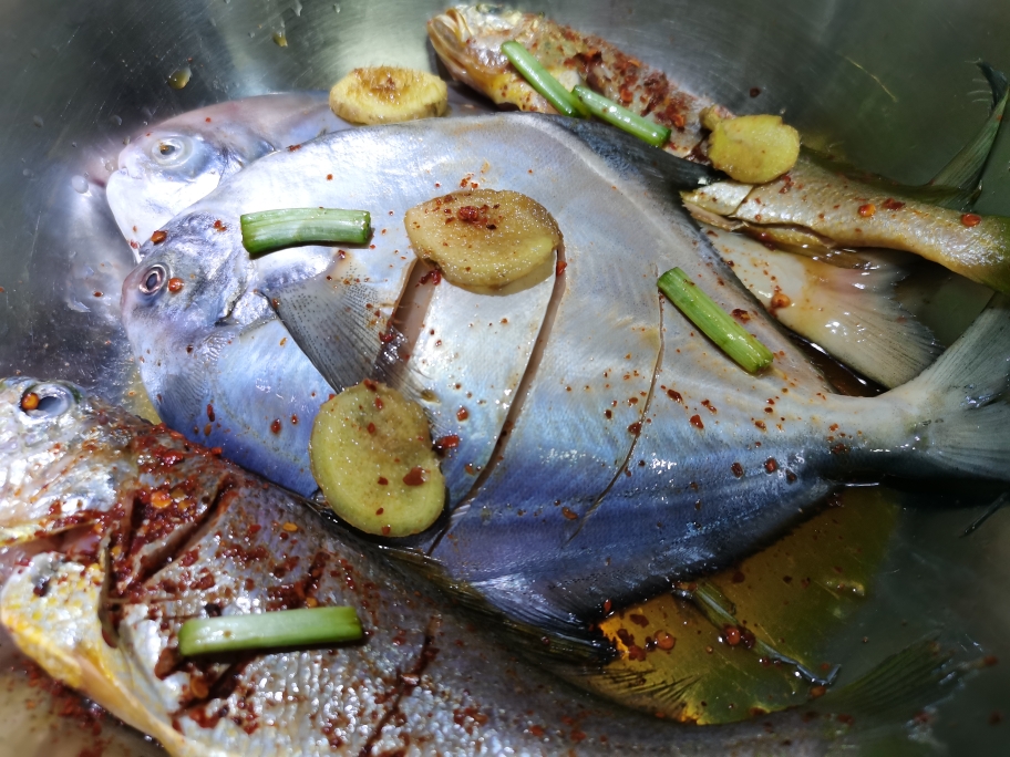 家庭版烤鲳鱼黄鱼的做法 步骤2